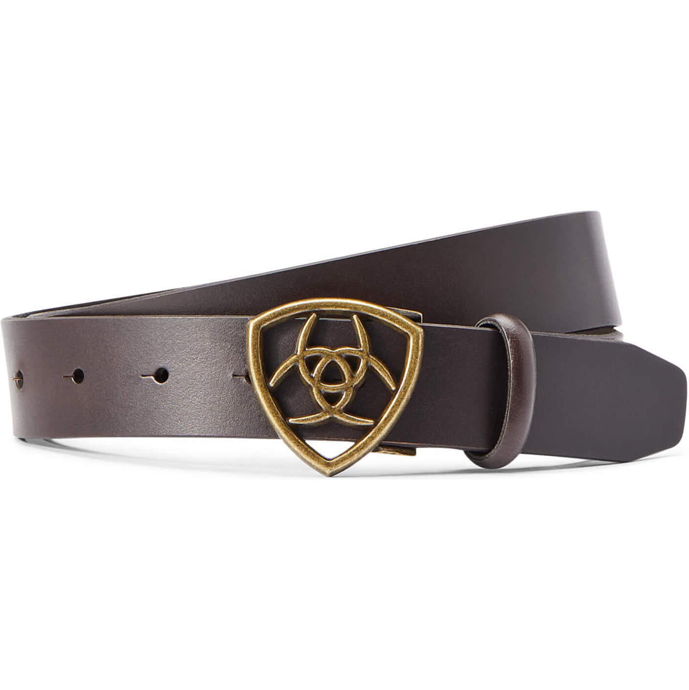 Ariat Ceinture The Shield Pour Femmes 10043947 - Cacao